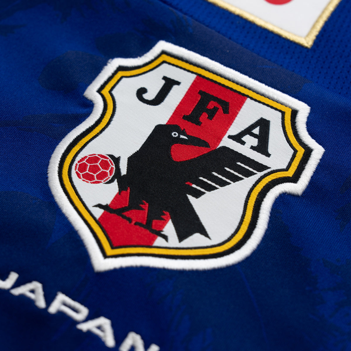 JAPAN · 2008–09 | HOME